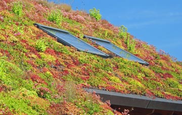 Baddesley Clinton living roof systems